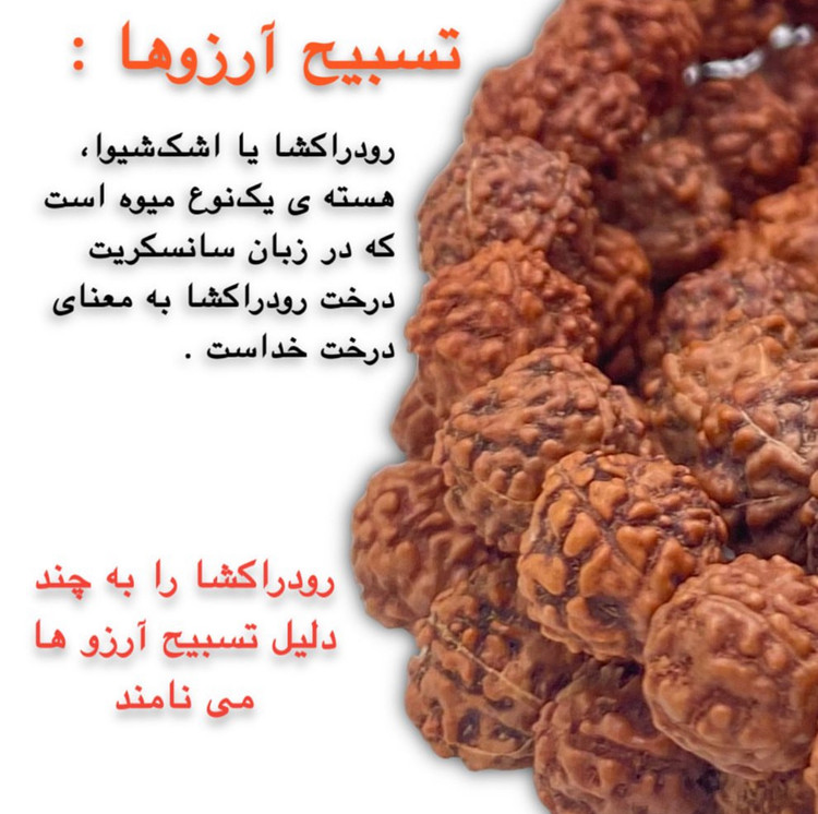 تسبیح رودراکشا اصل – محافظت در برابر انرژیهای منفی و تقویت چاکراها – نمای نزدیک سنگها | علیش گالری