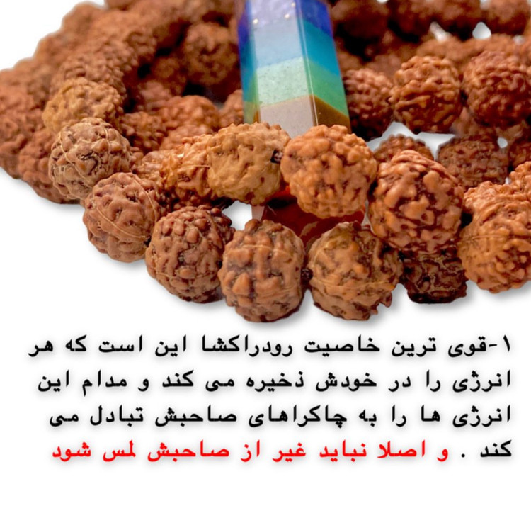 تسبیح رودراکشا اصل – محافظت در برابر انرژیهای منفی و تقویت چاکراها – جزئیات و بافت سنگ | علیش گالری