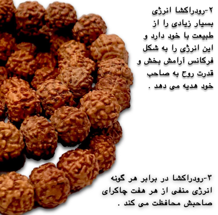 تسبیح رودراکشا اصل – محافظت در برابر انرژیهای منفی و تقویت چاکراها – نمای روی مچ دست | علیش گالری